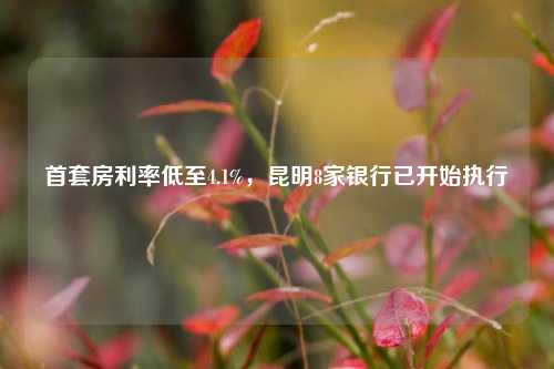 首套房利率低至4.1%，昆明8家银行已开始执行