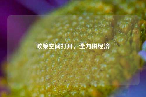 政策空间打开，全力拼经济