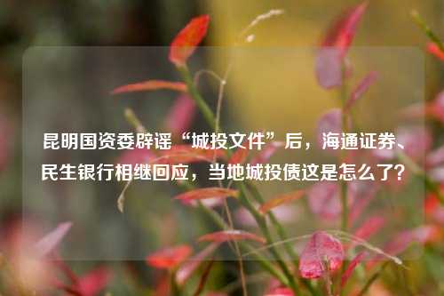 昆明国资委辟谣“城投文件”后，海通证券、民生银行相继回应，当地城投债这是怎么了？