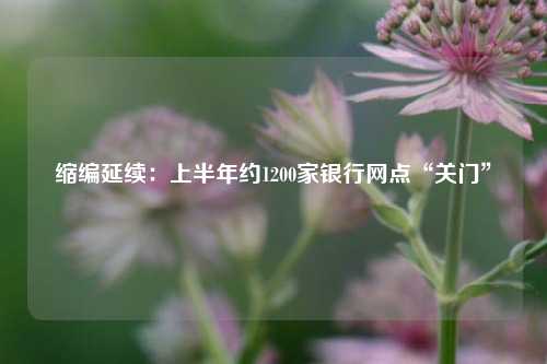 缩编延续：上半年约1200家银行网点“关门”