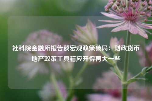 社科院金融所报告谈宏观政策破局：财政货币地产政策工具箱应开得再大一些