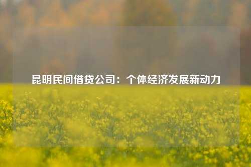 昆明民间借贷公司：个体经济发展新动力