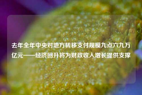去年全年中央对地方转移支付规模九点六九万亿元——经济回升将为财政收入增长提供支撑