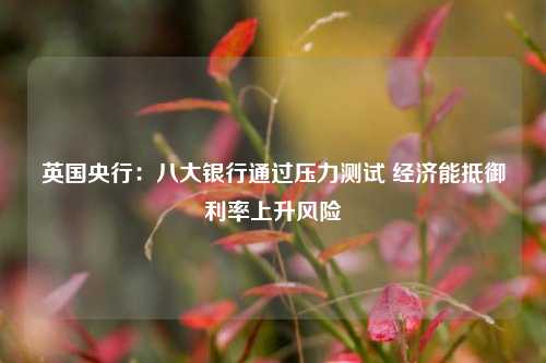 英国央行：八大银行通过压力测试 经济能抵御利率上升风险