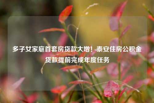 多子女家庭首套房贷款大增！泰安住房公积金贷款提前完成年度任务