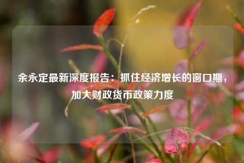 余永定最新深度报告：抓住经济增长的窗口期，加大财政货币政策力度