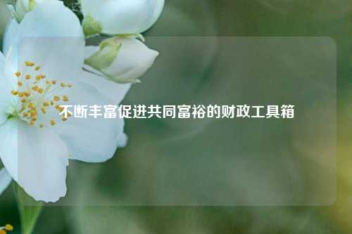 不断丰富促进共同富裕的财政工具箱
