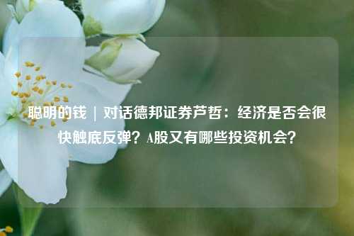 聪明的钱 | 对话德邦证券芦哲：经济是否会很快触底反弹？A股又有哪些投资机会？