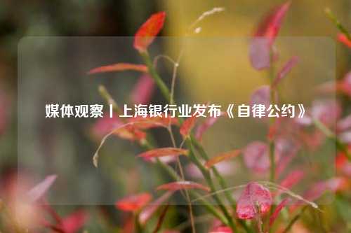 媒体观察丨上海银行业发布《自律公约》