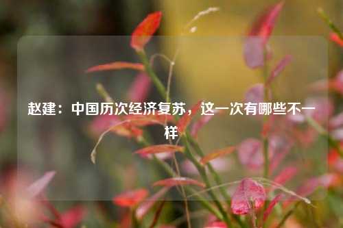 赵建：中国历次经济复苏，这一次有哪些不一样