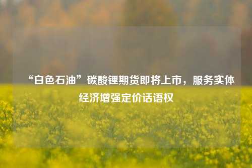 “白色石油”碳酸锂期货即将上市，服务实体经济增强定价话语权