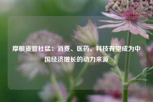 摩根资管杜猛：消费、医药、科技有望成为中国经济增长的动力来源