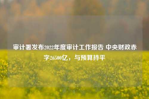 审计署发布2022年度审计工作报告 中央财政赤字26500亿，与预算持平