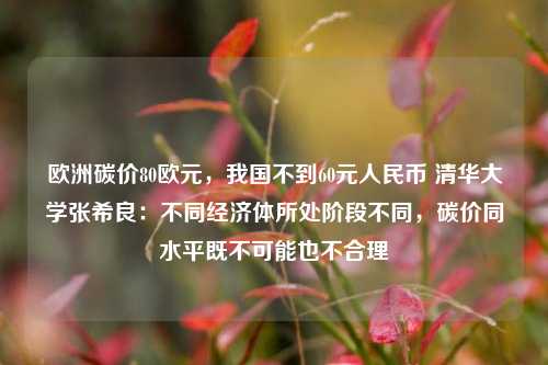 欧洲碳价80欧元，我国不到60元人民币 清华大学张希良：不同经济体所处阶段不同，碳价同水平既不可能也不合理