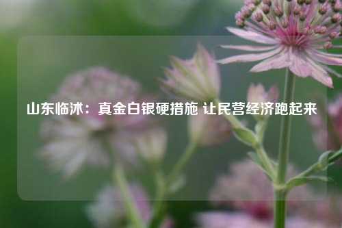 山东临沭：真金白银硬措施 让民营经济跑起来