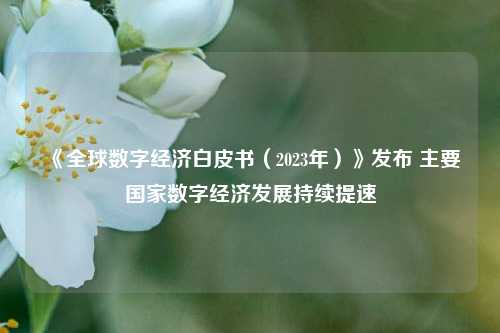 《全球数字经济白皮书（2023年）》发布 主要国家数字经济发展持续提速