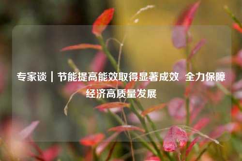 专家谈｜节能提高能效取得显著成效 全力保障经济高质量发展