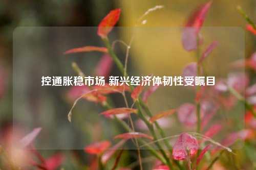 控通胀稳市场 新兴经济体韧性受瞩目