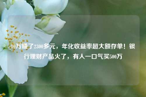 10万赚了2300多元，年化收益率超大额存单！银行理财产品火了，有人一口气买500万