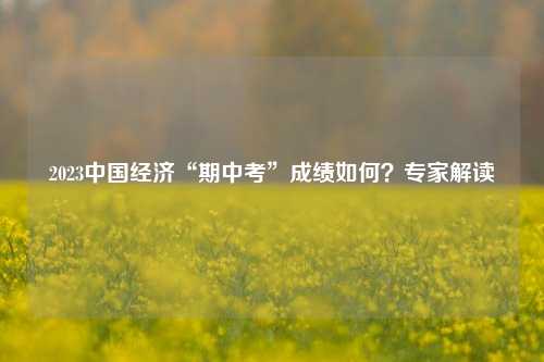 2023中国经济“期中考”成绩如何？专家解读