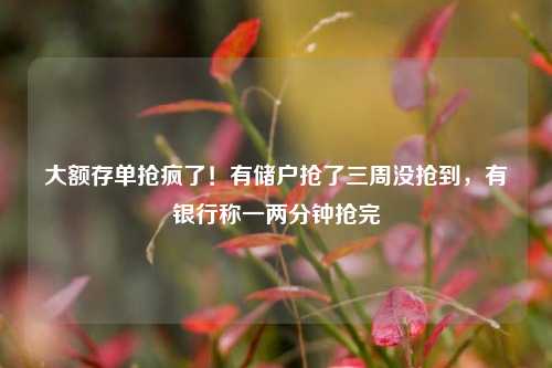 大额存单抢疯了！有储户抢了三周没抢到，有银行称一两分钟抢完
