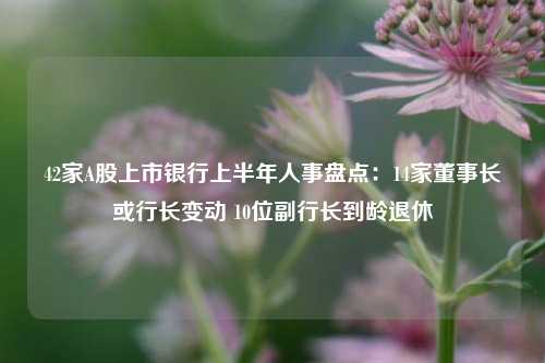 42家A股上市银行上半年人事盘点：14家董事长或行长变动 10位副行长到龄退休