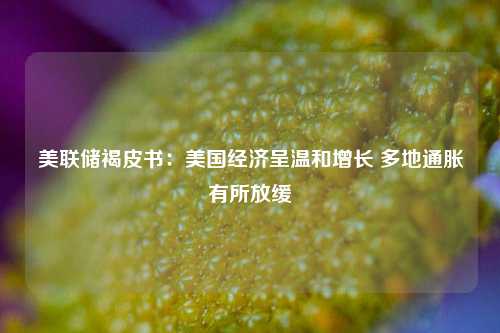 美联储褐皮书：美国经济呈温和增长 多地通胀有所放缓