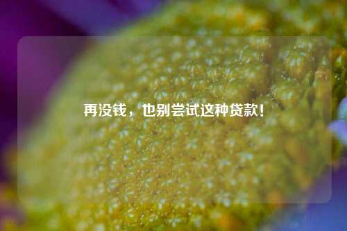 再没钱，也别尝试这种贷款！