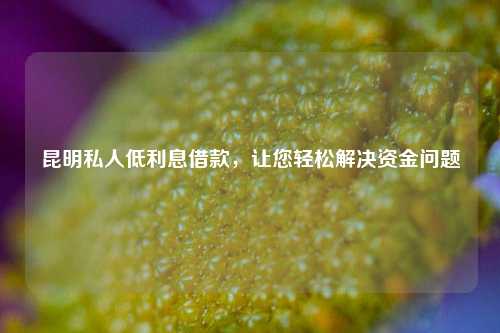 昆明私人低利息借款，让您轻松解决资金问题