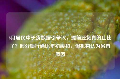 6月居民中长贷数据引争议，提前还贷真的止住了？部分银行确比年初缓和，但机构认为另有原因