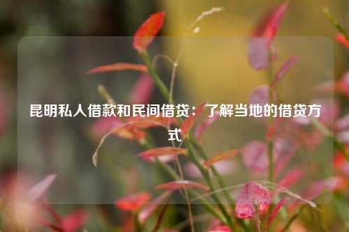 昆明私人借款和民间借贷：了解当地的借贷方式