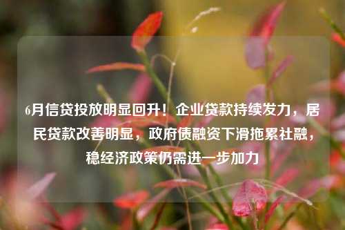 6月信贷投放明显回升！企业贷款持续发力，居民贷款改善明显，政府债融资下滑拖累社融，稳经济政策仍需进一步加力