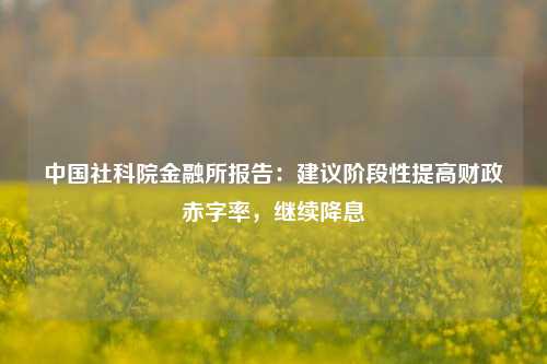 中国社科院金融所报告：建议阶段性提高财政赤字率，继续降息