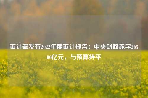 审计署发布2022年度审计报告：中央财政赤字26500亿元，与预算持平