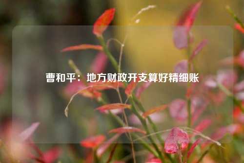 曹和平：地方财政开支算好精细账