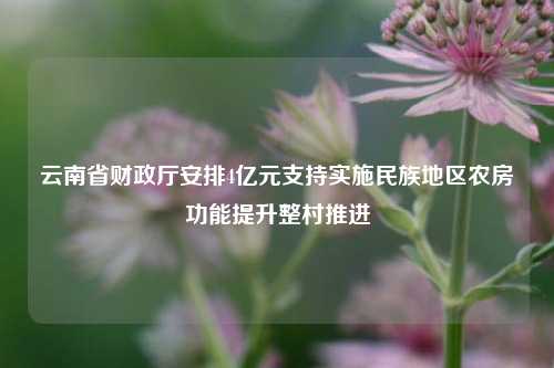 云南省财政厅安排4亿元支持实施民族地区农房功能提升整村推进