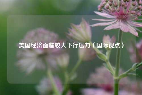 美国经济面临较大下行压力（国际视点）