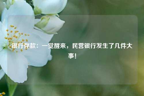 银行存款：一觉醒来，民营银行发生了几件大事！