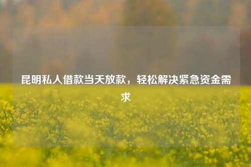 昆明私人借款当天放款，轻松解决紧急资金需求