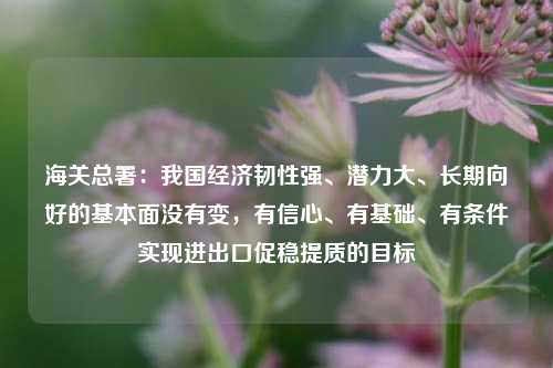 海关总署：我国经济韧性强、潜力大、长期向好的基本面没有变，有信心、有基础、有条件实现进出口促稳提质的目标