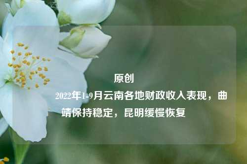 原创 2022年1-9月云南各地财政收入表现，曲靖保持稳定，昆明缓慢恢复
