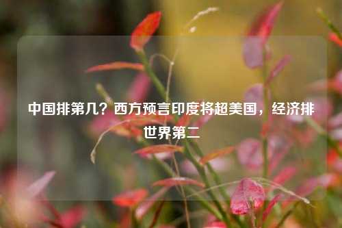 中国排第几？西方预言印度将超美国，经济排世界第二