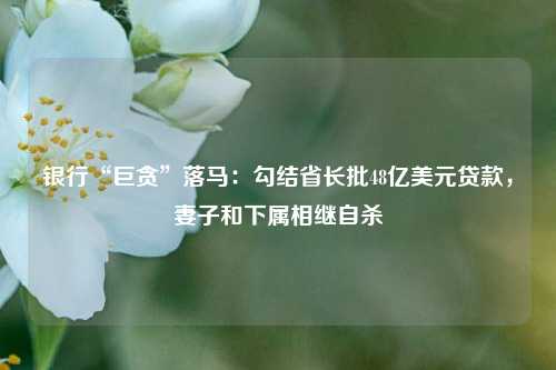 银行“巨贪”落马：勾结省长批48亿美元贷款，妻子和下属相继自杀