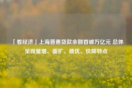 「看经济」上海普惠贷款余额首破万亿元 总体呈现量增、面扩、质优、价降特点