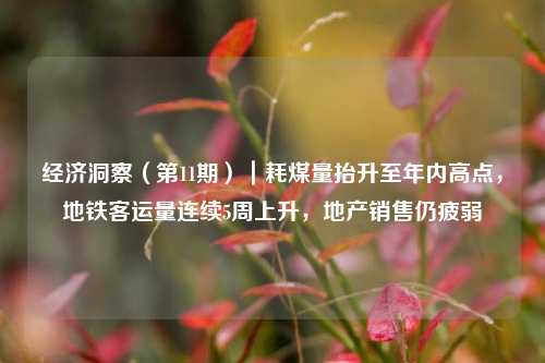 经济洞察（第11期）｜耗煤量抬升至年内高点，地铁客运量连续5周上升，地产销售仍疲弱