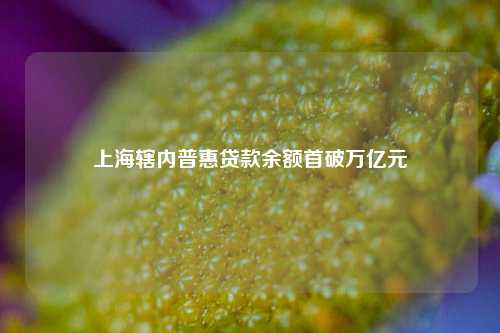 上海辖内普惠贷款余额首破万亿元