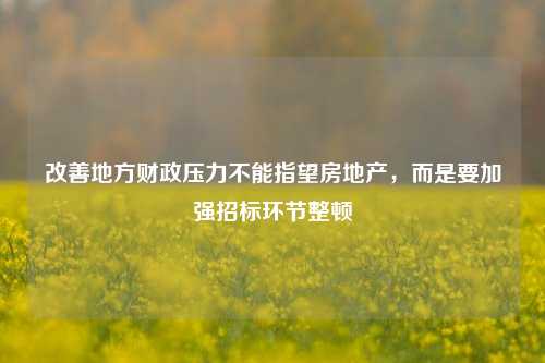 改善地方财政压力不能指望房地产，而是要加强招标环节整顿