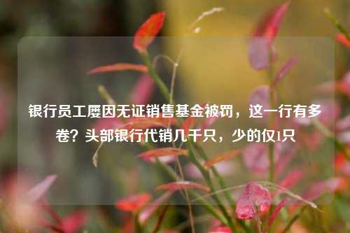 银行员工屡因无证销售基金被罚，这一行有多卷？头部银行代销几千只，少的仅1只
