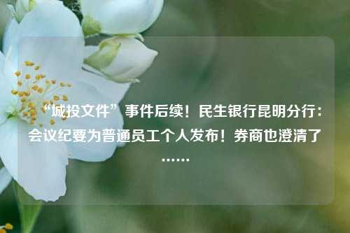 “城投文件”事件后续！民生银行昆明分行：会议纪要为普通员工个人发布！券商也澄清了……