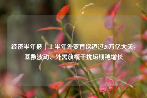 经济半年报｜上半年外贸首次迈过20万亿大关，基数波动、外需放缓干扰短期稳增长